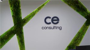 hall Ce Consulting